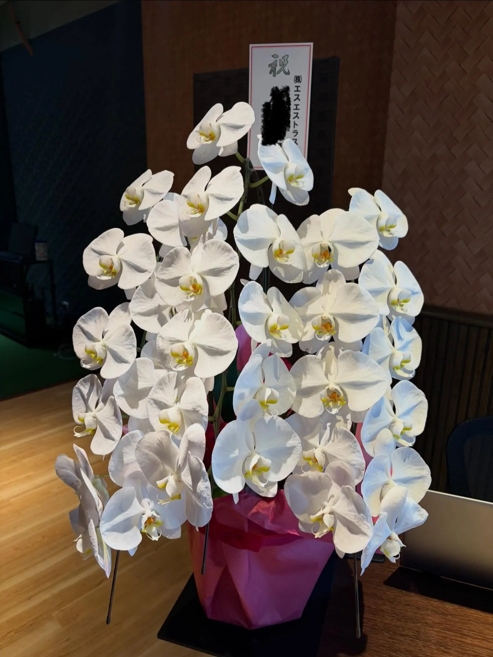 ステキなお花と幸福の木いただきました🌸